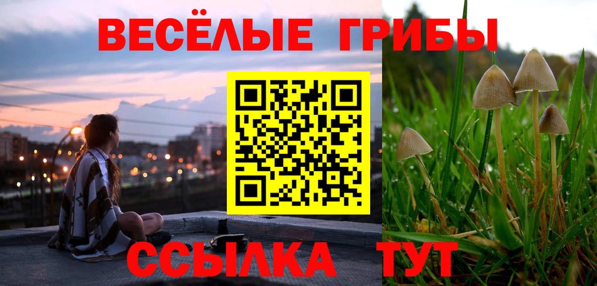 Псилоцибиновые грибы Cubensis Воскресенск